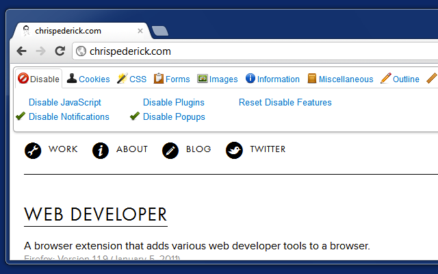 Web Developer extension toolbar with disable options for JavaScript and plugins