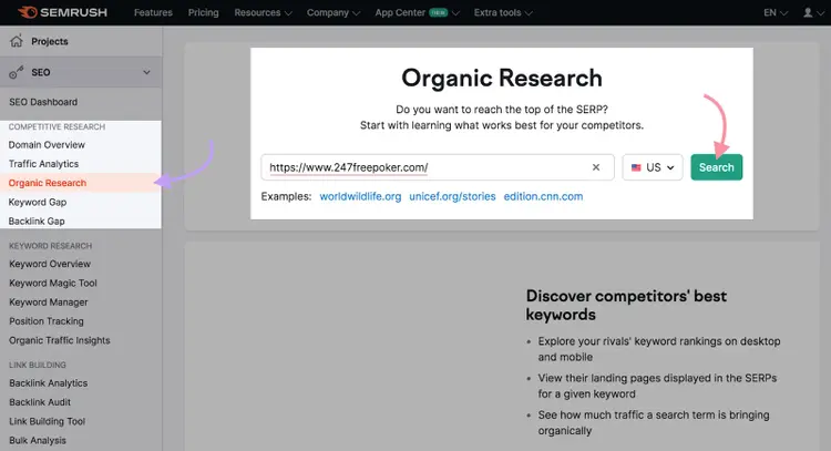 Organic Rankings tool