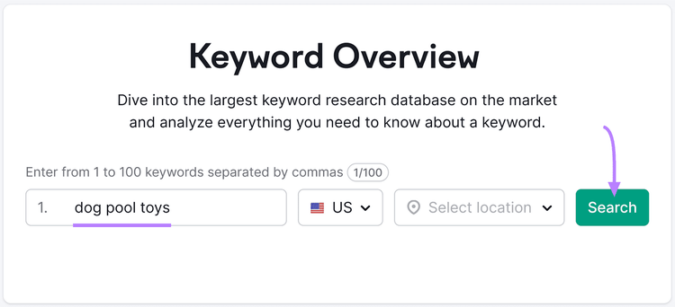 "dog pool toys" keyword entered into the Keyword Overview tool search bar