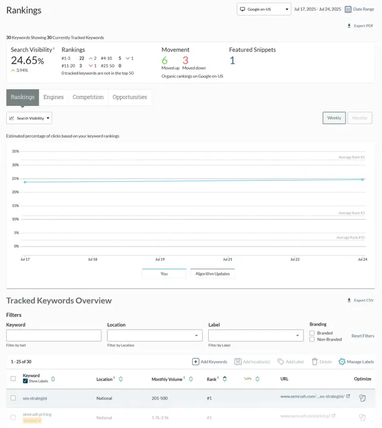 Keyword rankings report shows search visibility, rankings overview, and tracked keyword positions.