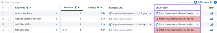 URL in SERP column is highlighted in the keyword ranking table.