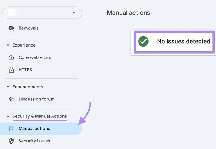 The "No issues detected" message highlighted on the Manual actions page on Google Search Console.