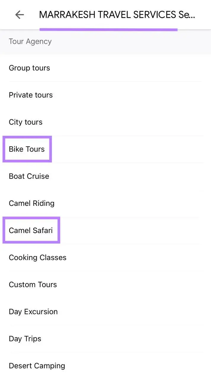 Terms related to the service used by a travel agency on their Google Business Profile to make it easier for customers to find them.