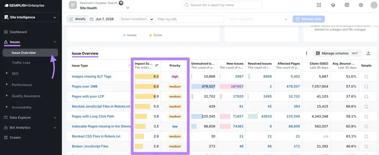 The Issue Overview report with the "Impact Score" and "Priority" columns highlighted.