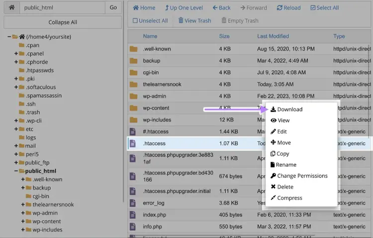 The ".htaccess" file on cPanel right-clicked and "Download" selected from the options that appear.