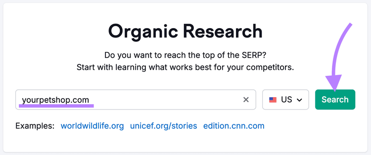 organic rankings tool's start page with "yourpetshop.com" in the search bar