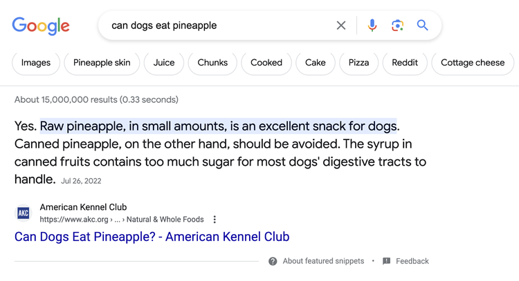 Featured snippet on Google for "can dogs eat pineapple" search
