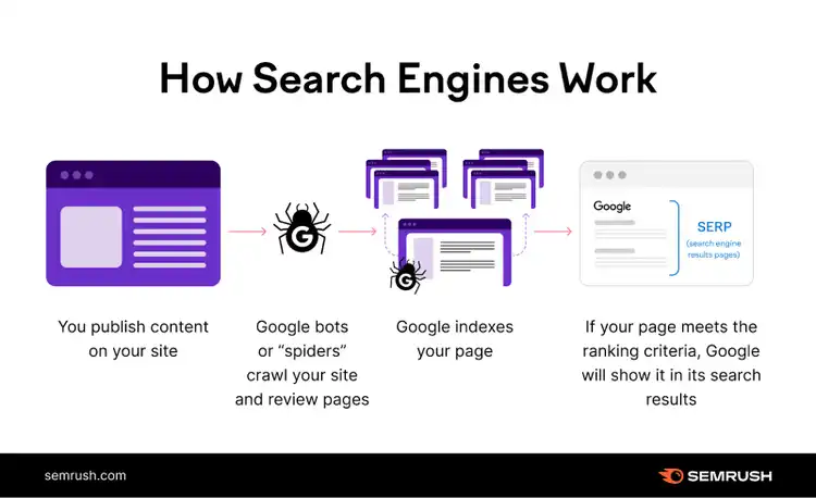 How search engines work: Spiders crawl site and review pages, Google indexes a page, page is shown in SERP if it meets criteria.