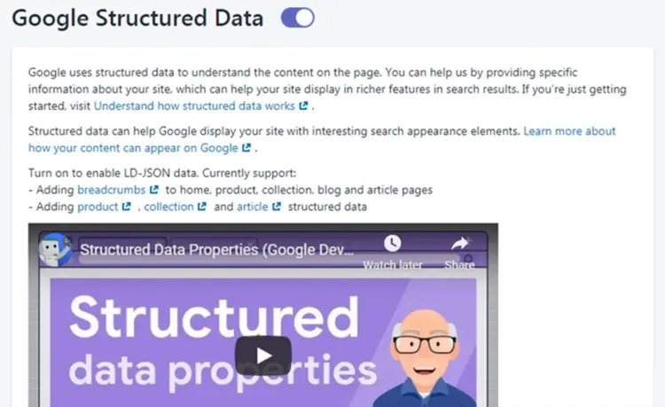 "Google Structured Data" enabled in SEO Image Optimizer tool