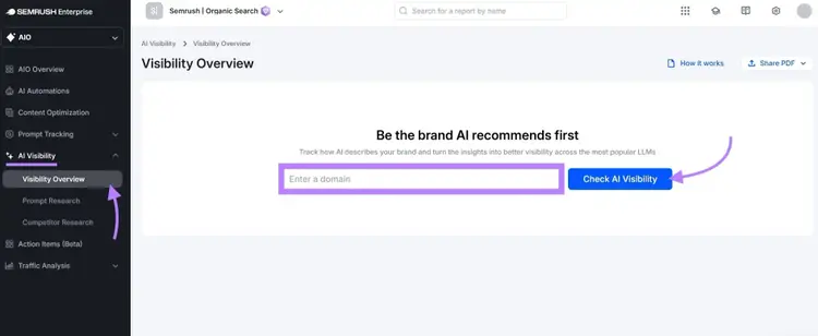 The Visibility Overview report with the input box to enter a domain and the "Check AI Visibility" button highlighted.