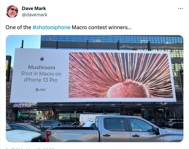A billboard shared on X, showing "Mushroom Shot in Macro on iPhone 13 Pro"