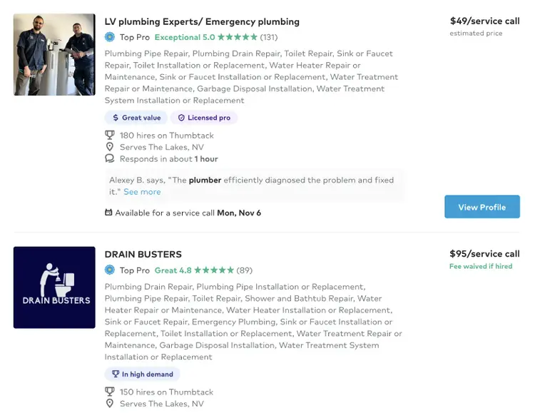 A directory showing a list of local businesses along with information like the services they offer, ratings, reviews and price.