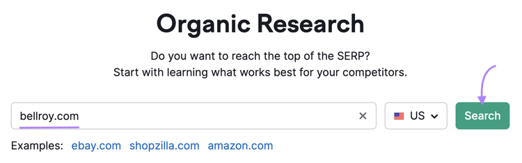 enter a competitor’s website into the Organic Rankings tool