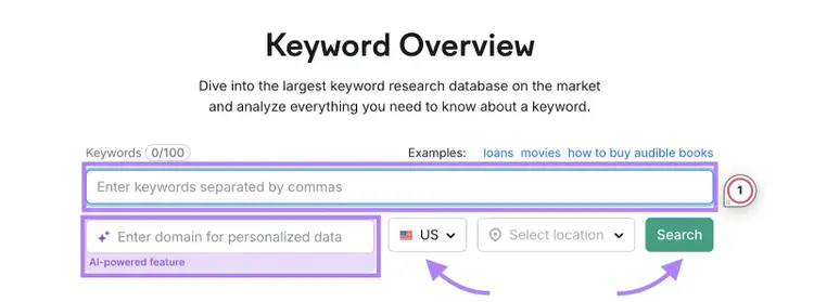 Keyword Overview tool form with keyword input and domain field