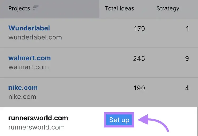"Set up" button highlighted next to "runnersworld.com" domain