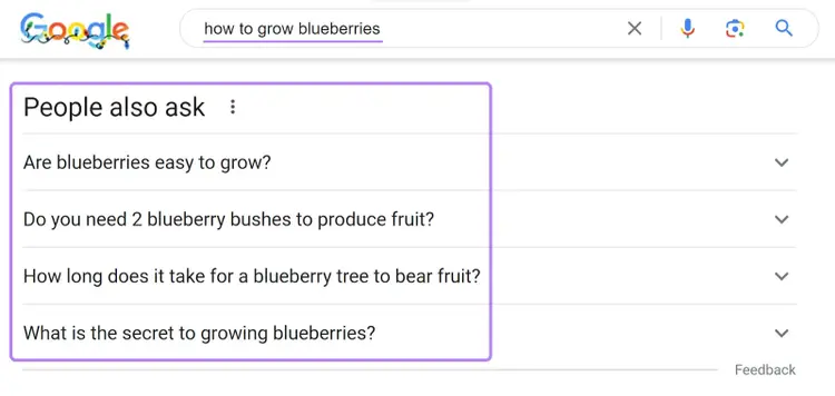 "People also ask" feature on Google SERP for "how to grow blueberries" query