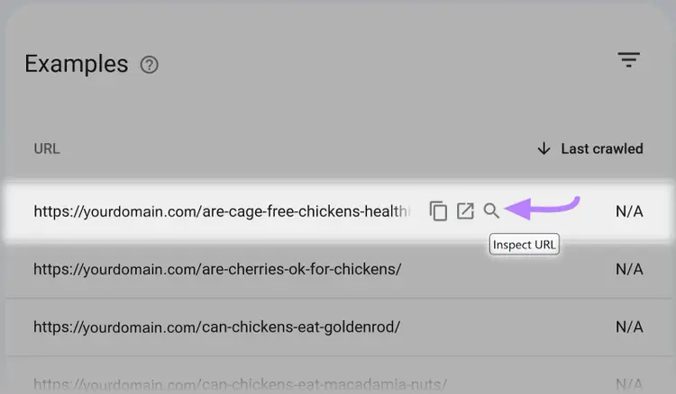 The magnifying glass next to a URL highlighted on the Page Indexing report on Google Search Console.
