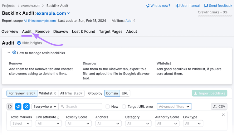 “Audit” tab in Backlink Audit tool