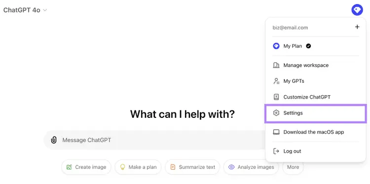 Settings option shown in the menu