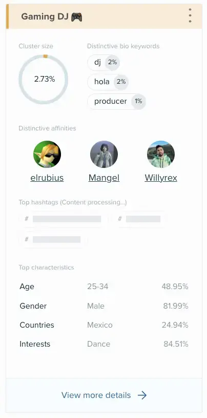 Gaming DJ cluster: 2.73% size, 81.99% male, age 25-34, Mexico