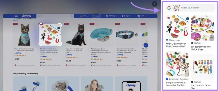 Google Lens opening in a sidebar of a page showing visually similar images to a selected image.