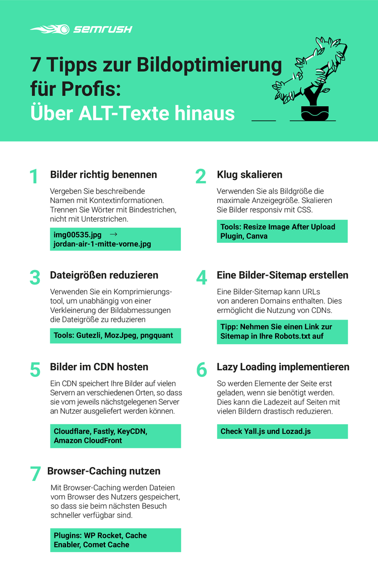 Infografik Bildoptimierung