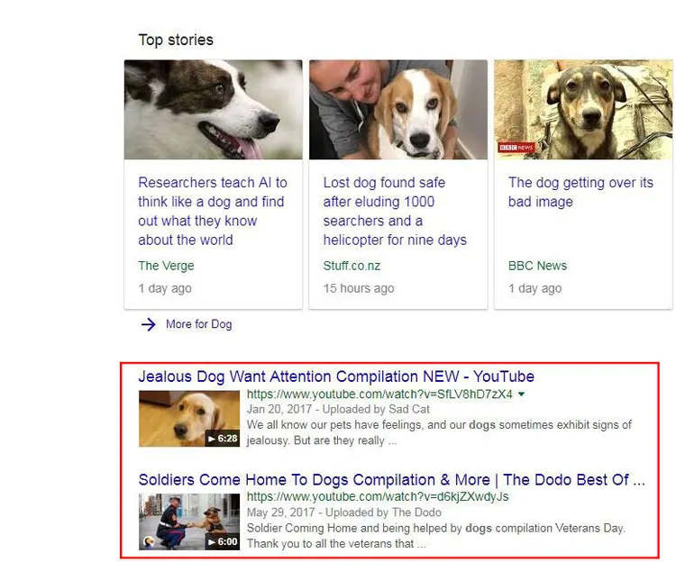 Videos at the top of the search results page