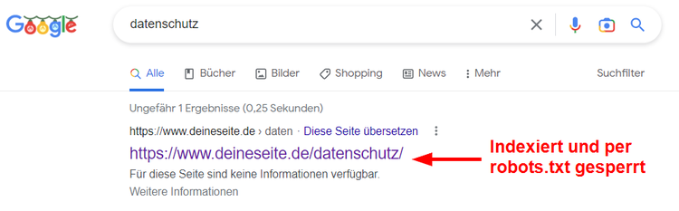 Google-Suchergebnis: Für diese Seite sind keine Informationen verfügbar.