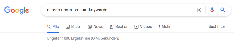 Site-Suche im Google-Suchfeld