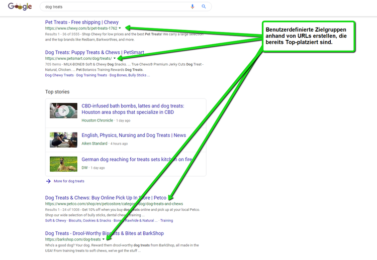 Google Ads Suchergebnisse mit Custom Audience Targeting Hinweise