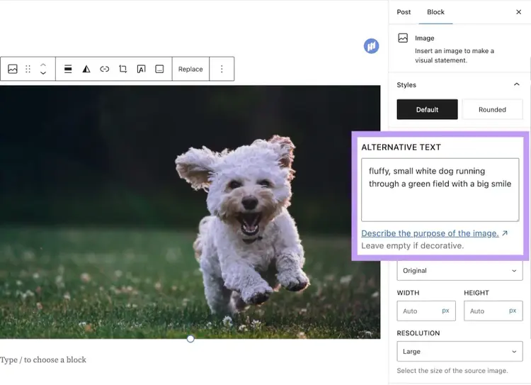 Feld für Alt-Text in WordPress hervorgehoben und den Text "flauschiger, kleiner weißer Hund, der mit einem breiten Lächeln durch ein grünes Feld läuft" in das Feld eingegeben