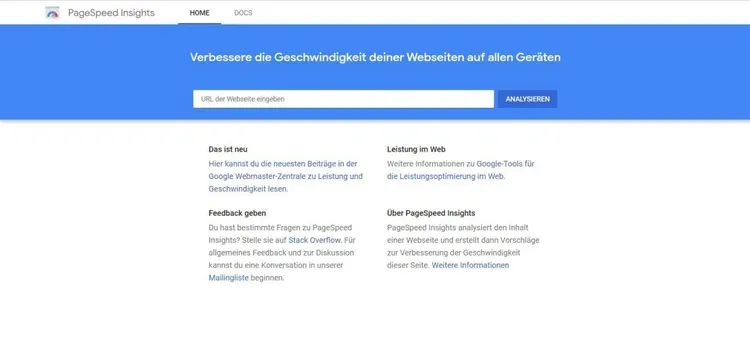 Google PageSpeed Insights: URL eingeben