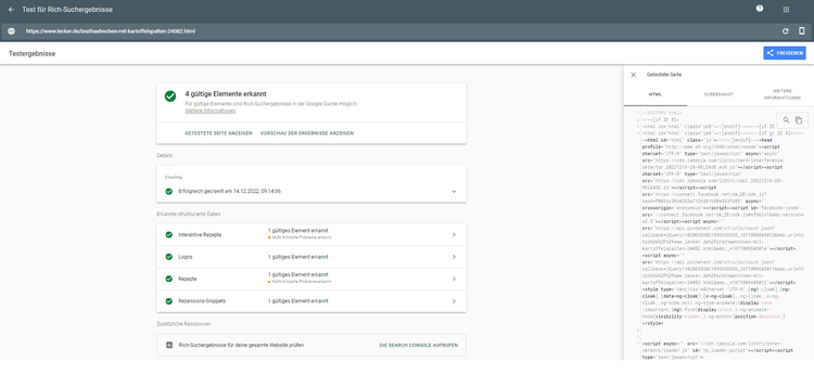 Google Rich Results Test Tool mit Validierungsergebnissen