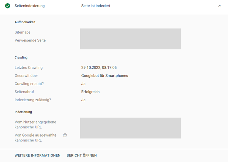 Google Search Console Seitenindexierung Report mit Crawling- und Indexierungs-Status