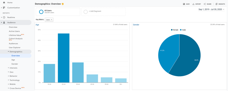 Google Analytics Demographische Daten