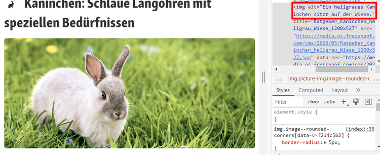 Screenshot: Beispiel für Alt-Text