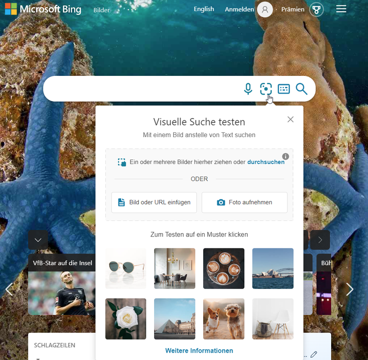 Screenshot: Bing Visual Search