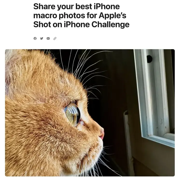 "Teile deine besten iPhone-Makrofotos für Apples Shot on iPhone Challenge" Titel