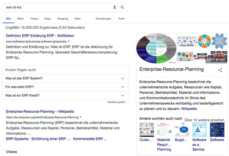 Google Suchergebnisse für 'was ist erp' mit Wikipedia