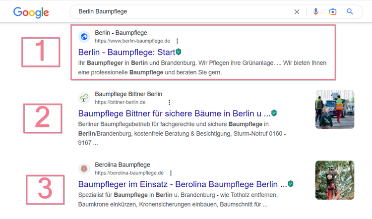 Beispiel Keyword Ranking in Google für das Keyword "berlin baumpflege"