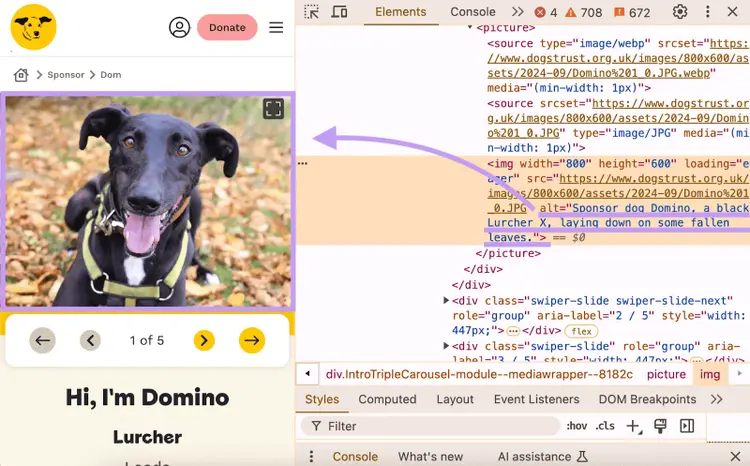 Alt-Text, der im Code einer Seite für ein Hundebild gefunden wurde: "Patenhund Domino, ein schwarzer Lurcher X, legt sich auf ein paar gefallene Blätter."