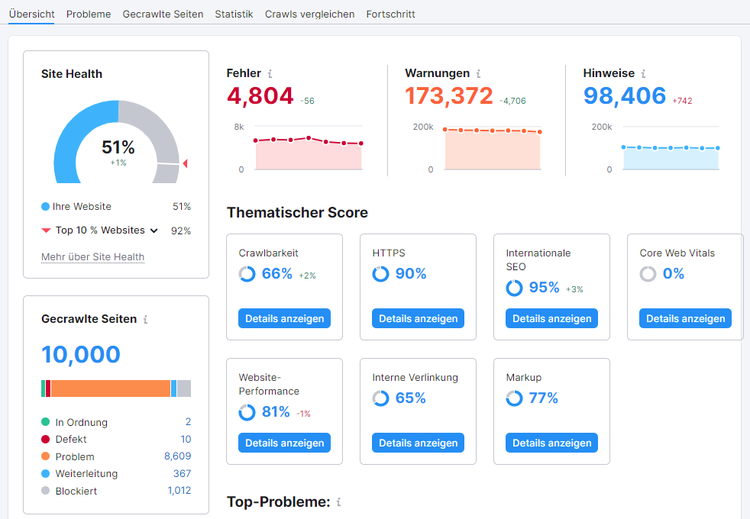 Screenshot: Site Audit
