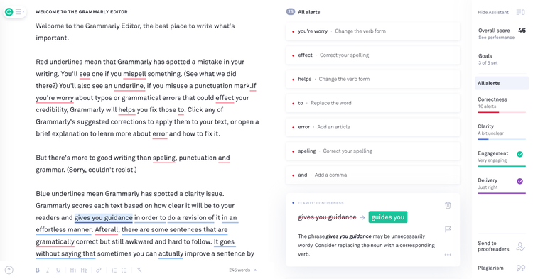 Screenshot of Grammarly results