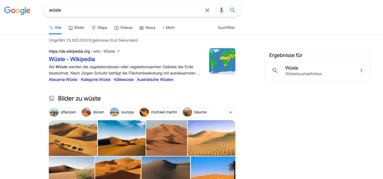 Beispiel allgemeine Suche