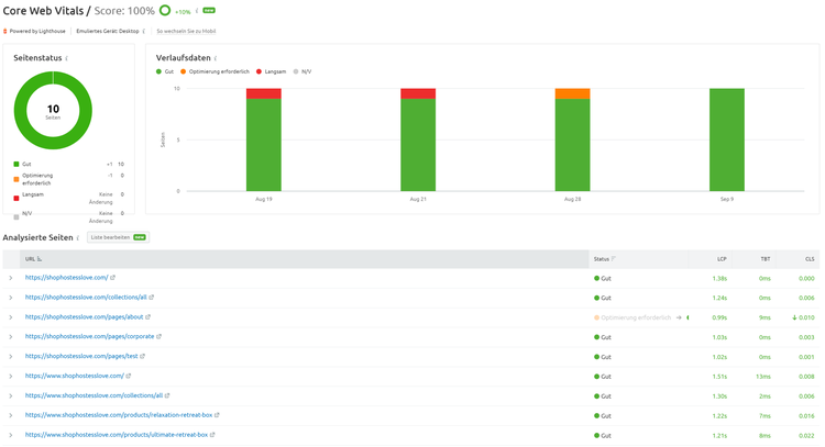 Core Web Vitals Report mit Seiten-Statistiken und Metriken