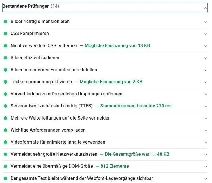 Google PageSpeed Insights: Bestandene Prüfungen