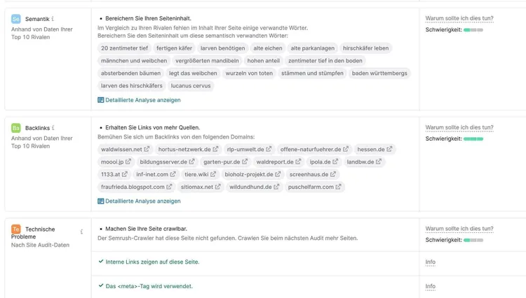 Der On Page SEO Checker liefert unter anderem einige semantische Tipps zur Content-Verbesserung