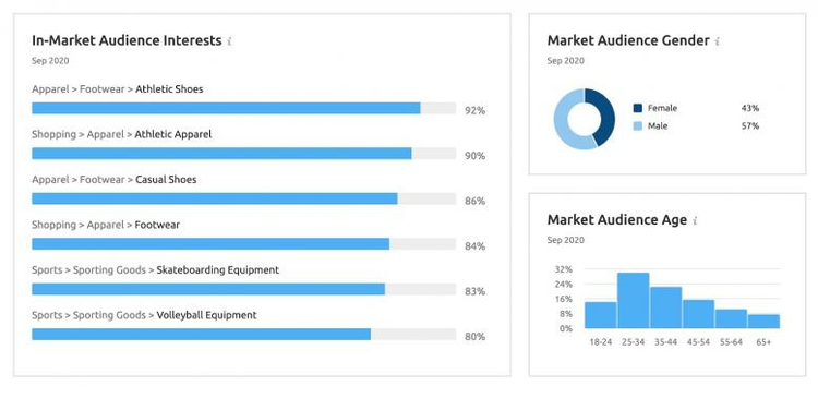 Semrush Market Explorer: In-Market Audience Interessen und demografische Daten