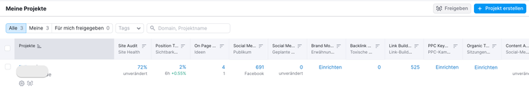 Semrush Projekte
