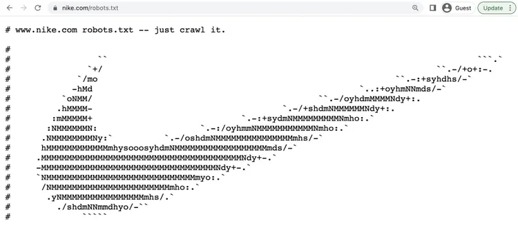 Die robots.txt von Nike